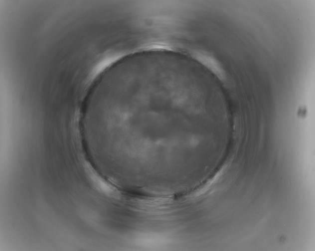 X0000095111404200712071206