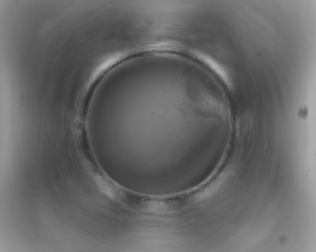 X0000095111405200712071206