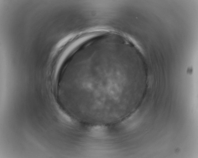 X0000095111406200712071206