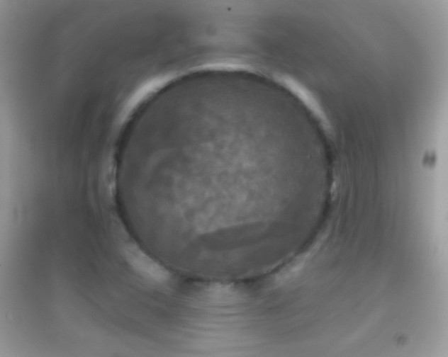 X0000095111408200712071206