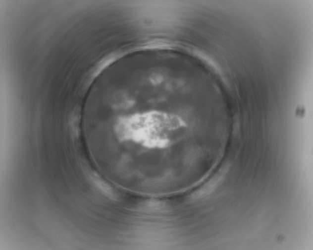 X0000095111409200712071206