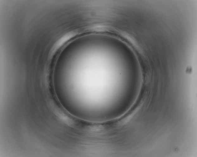 X0000095111410200712071206