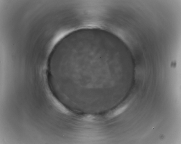 X0000095111412200712071206