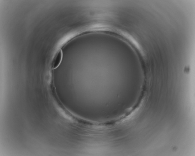 X0000095111413200712071206