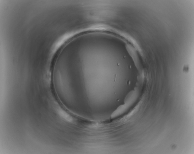 X0000095111414200712071206
