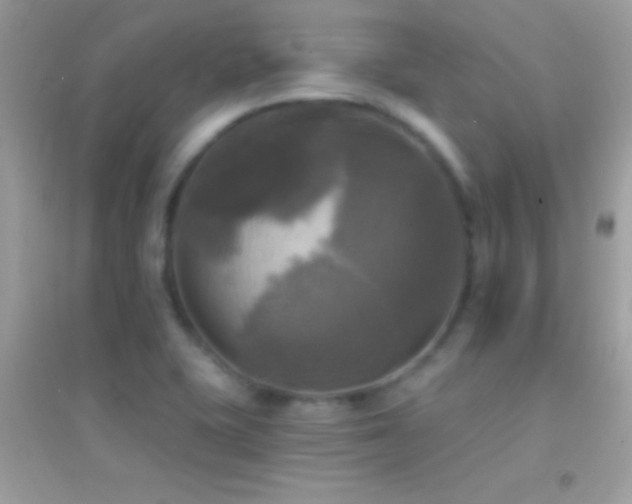 X0000095111415200712071206