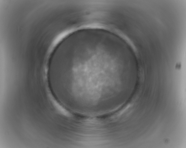 X0000095111416200712071206