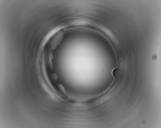 X0000095111418200712071206