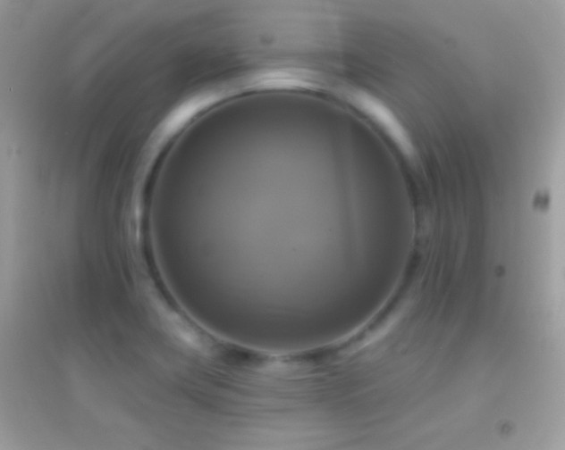 X0000095111419200712071206