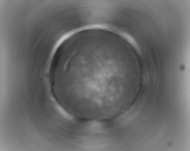 X0000095111420200712071206