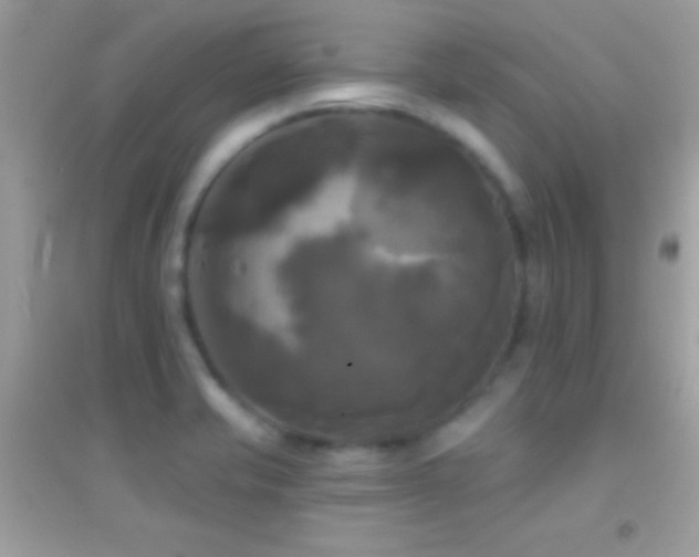 X0000095111421200712071206