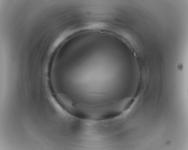 X0000095111422200712071206