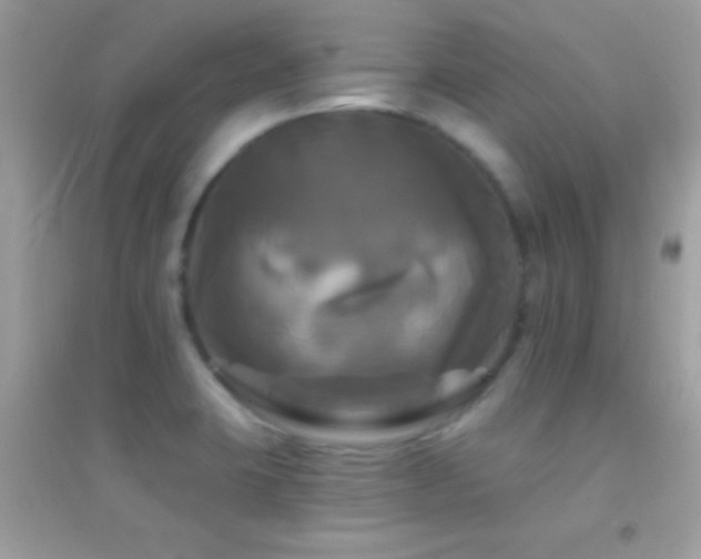 X0000095111423200712071206