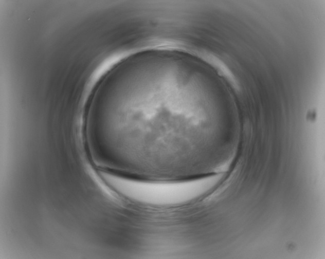 X0000095111424200712071206