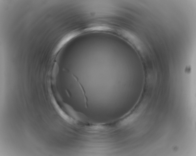 X0000095111425200712071206