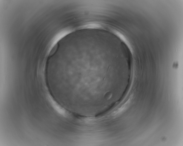 X0000095111426200712071206