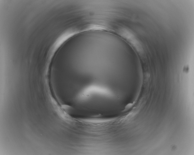 X0000095111427200712071206