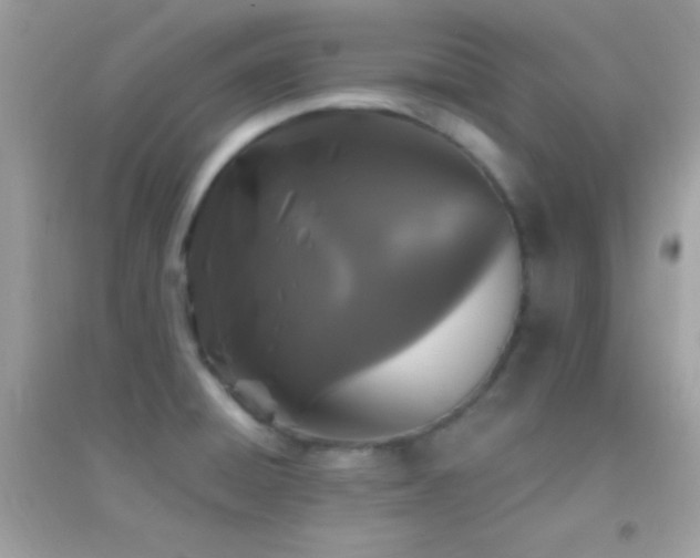 X0000095111428200712071206