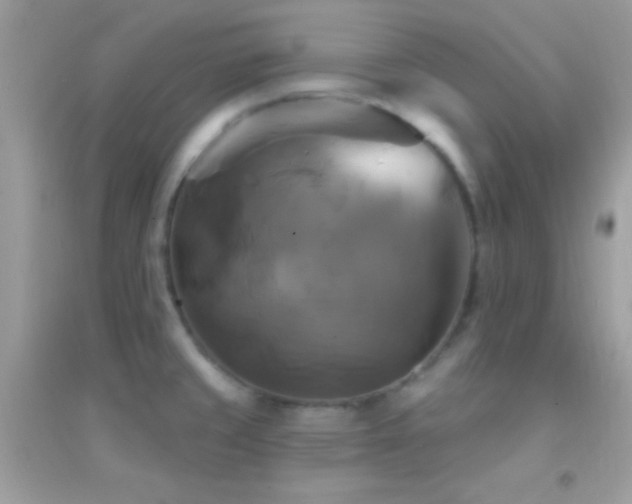 X0000095111429200712071206
