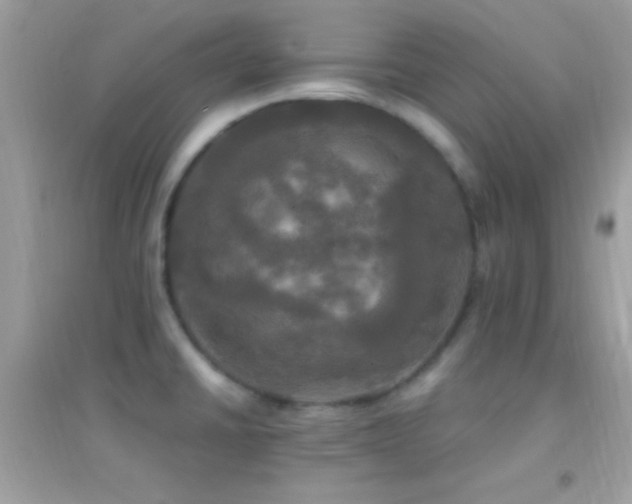 X0000095111430200712071206