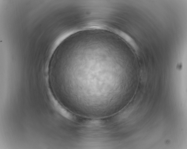 X0000095111431200712071206