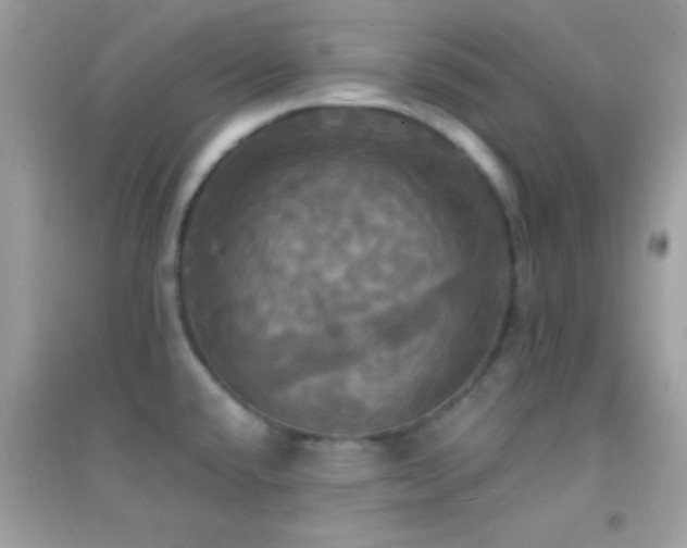 X0000095111432200712071206