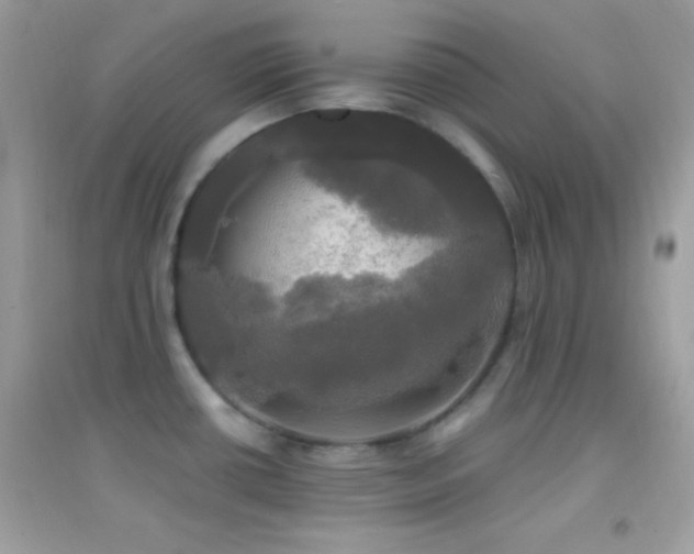 X0000095111434200712071207