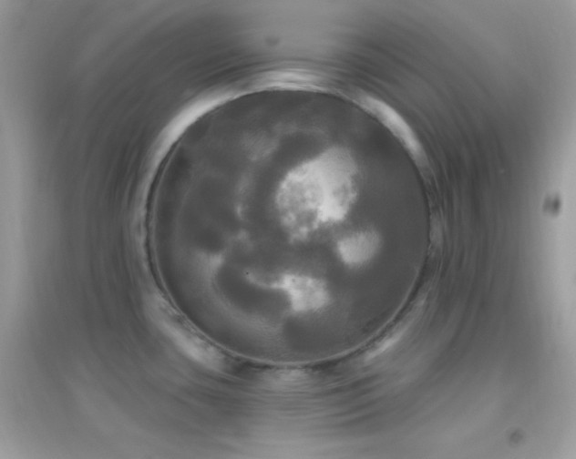 X0000095111435200712071207