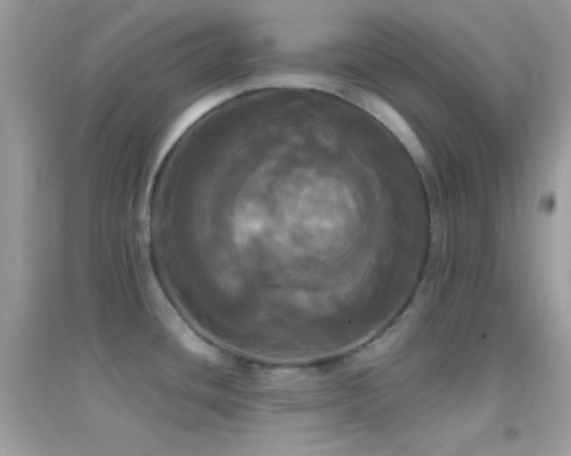X0000095111436200712071207
