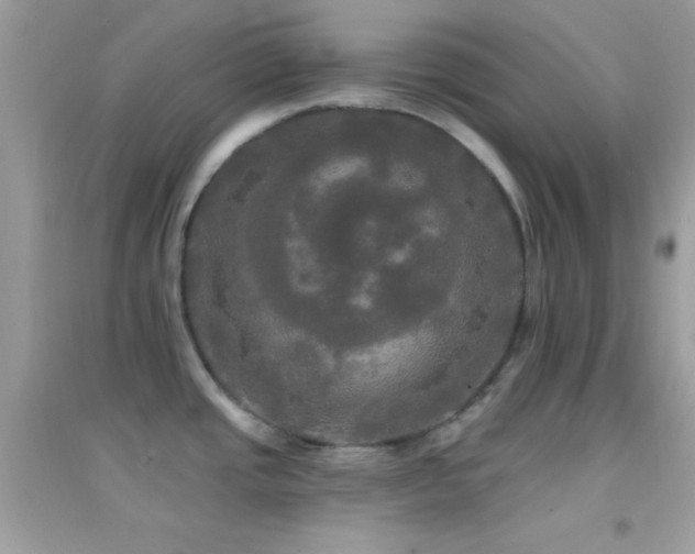 X0000095111437200712071207