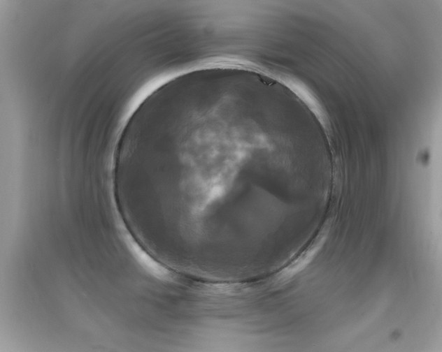 X0000095111438200712071207