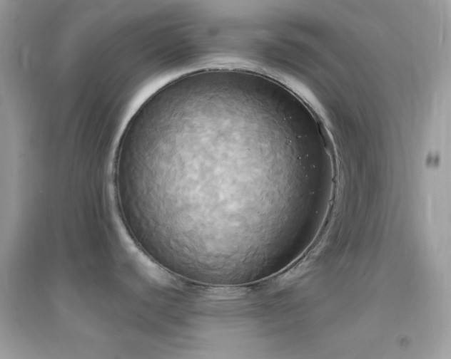X0000095111440200712071207