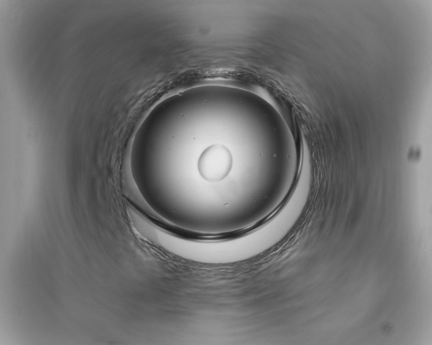 X0000095111441200712071206