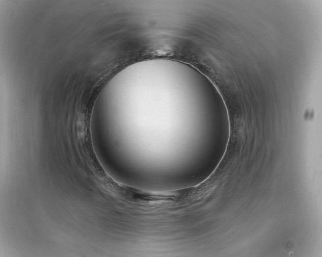 X0000095111442200712071206