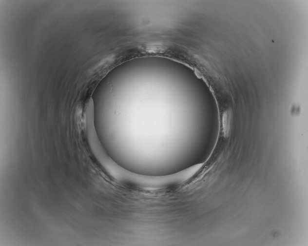 X0000095111443200712071206