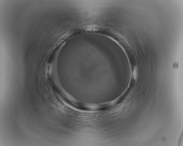 X0000095111444200712071206