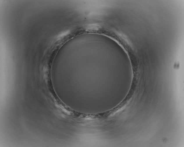 X0000095111445200712071206