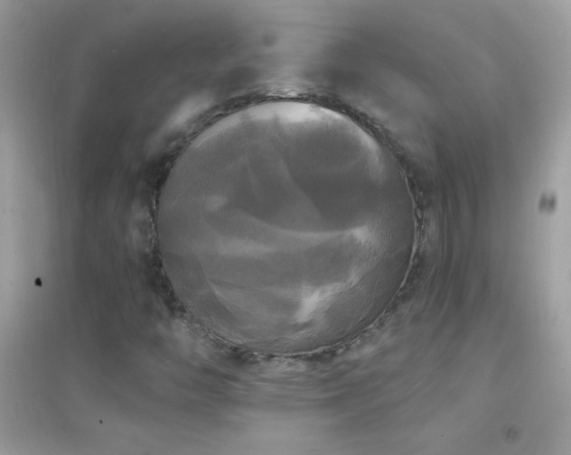 X0000095111446200712071206