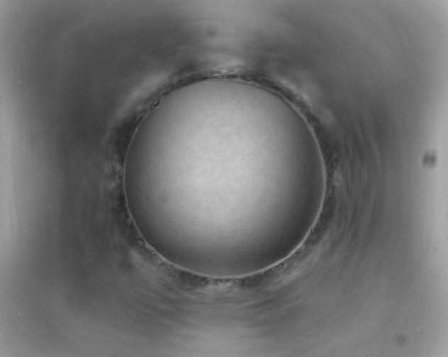 X0000095111447200712071206