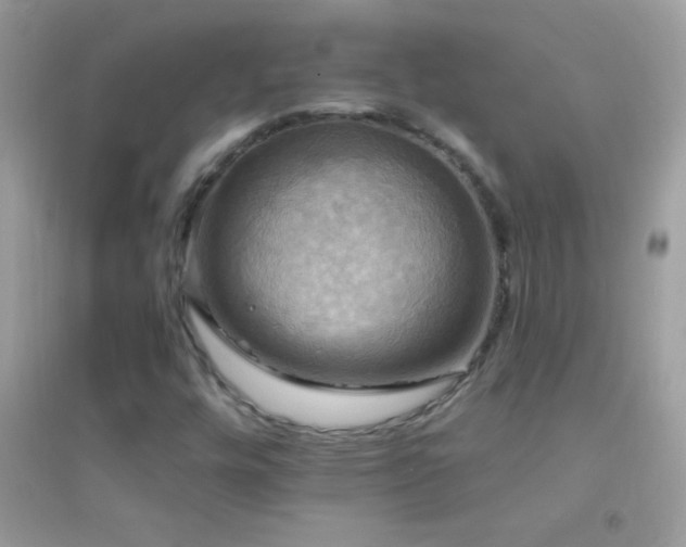 X0000095111448200712071206