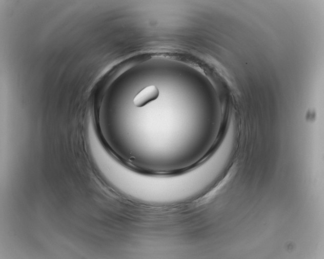 X0000095111449200712071206