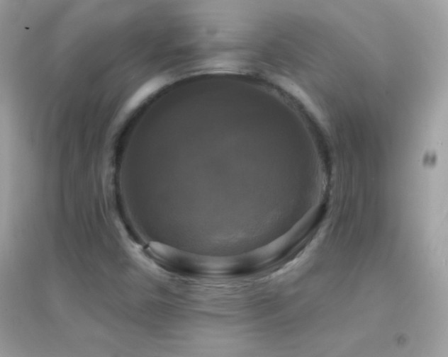 X0000095111450200712071206