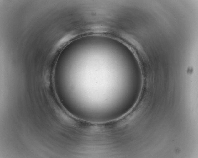X0000095111451200712071206