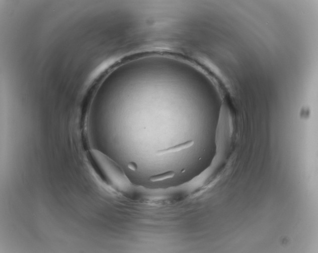 X0000095111452200712071206
