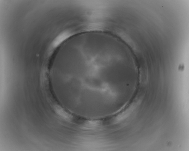 X0000095111453200712071206