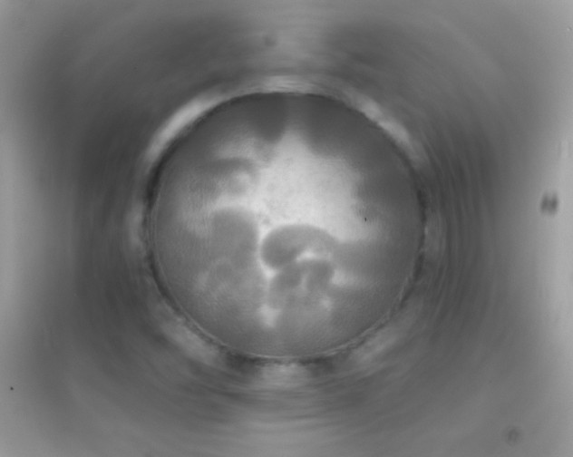 X0000095111454200712071206