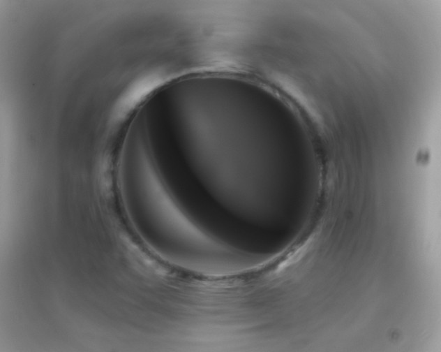 X0000095111455200712071206
