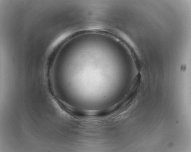 X0000095111456200712071206