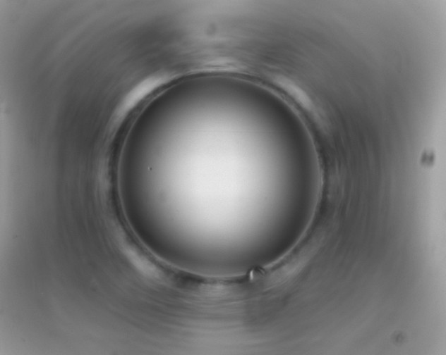 X0000095111458200712071206