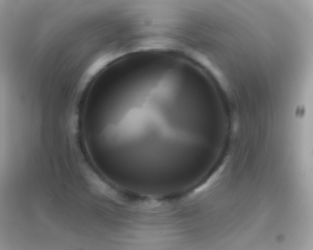 X0000095111459200712071206